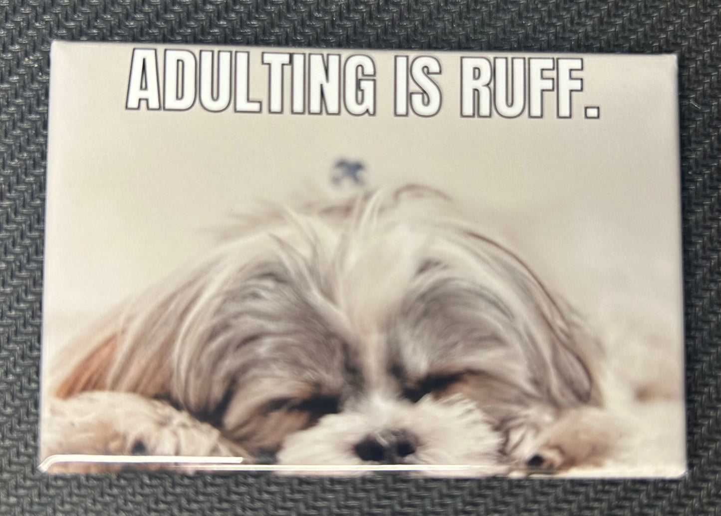 Graphic Magnet (Single)